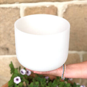THROAT Chakra 8" Crystal Singing Bowl (White)